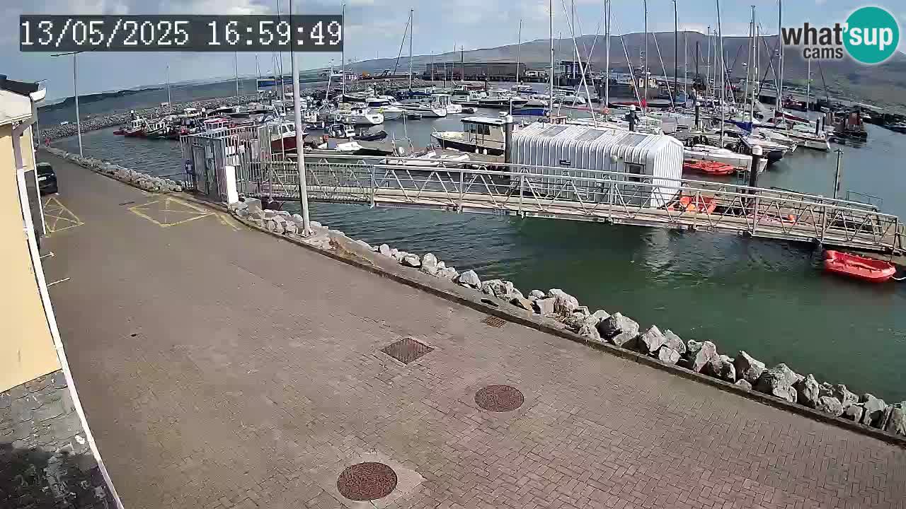 Fenit Marina live webcam