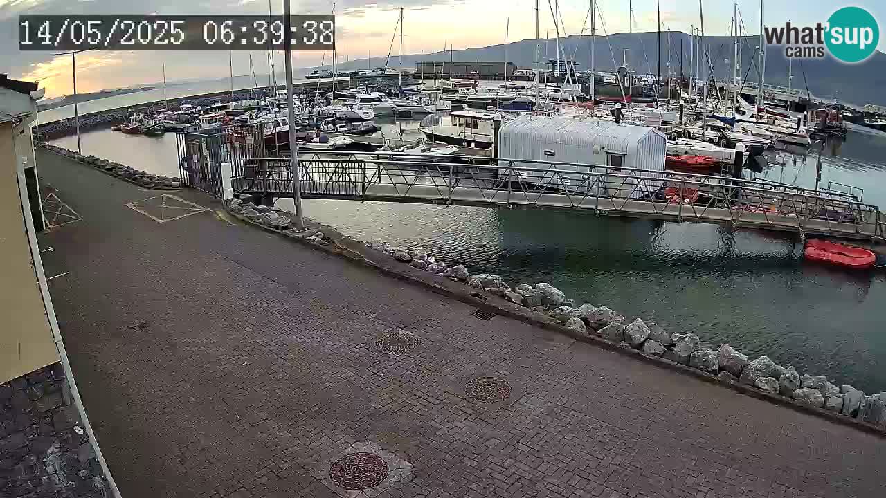 Fenit Marina spletna kamera
