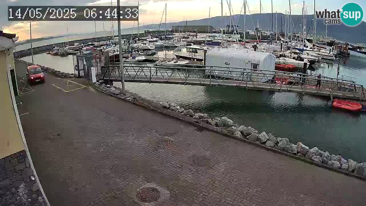 Fenit Marina spletna kamera