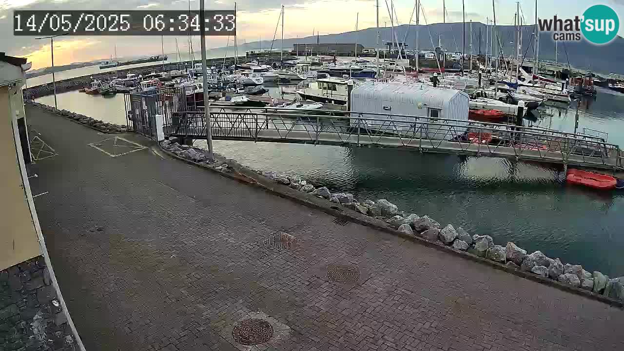 Fenit Marina spletna kamera