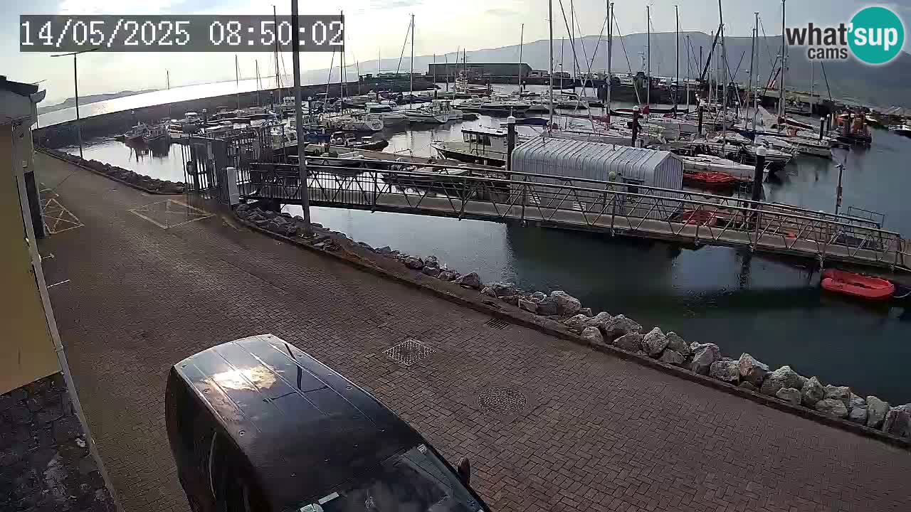 Fenit Marina camera en vivo