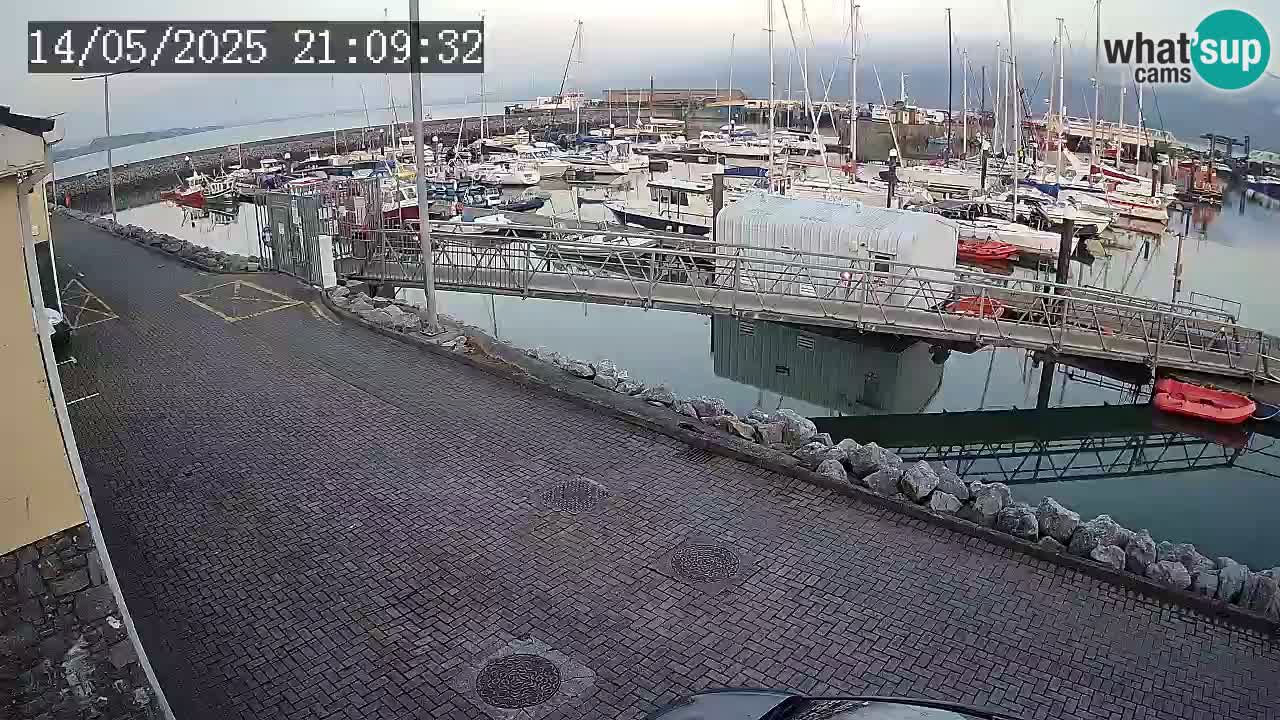 Fenit Marina web kamera