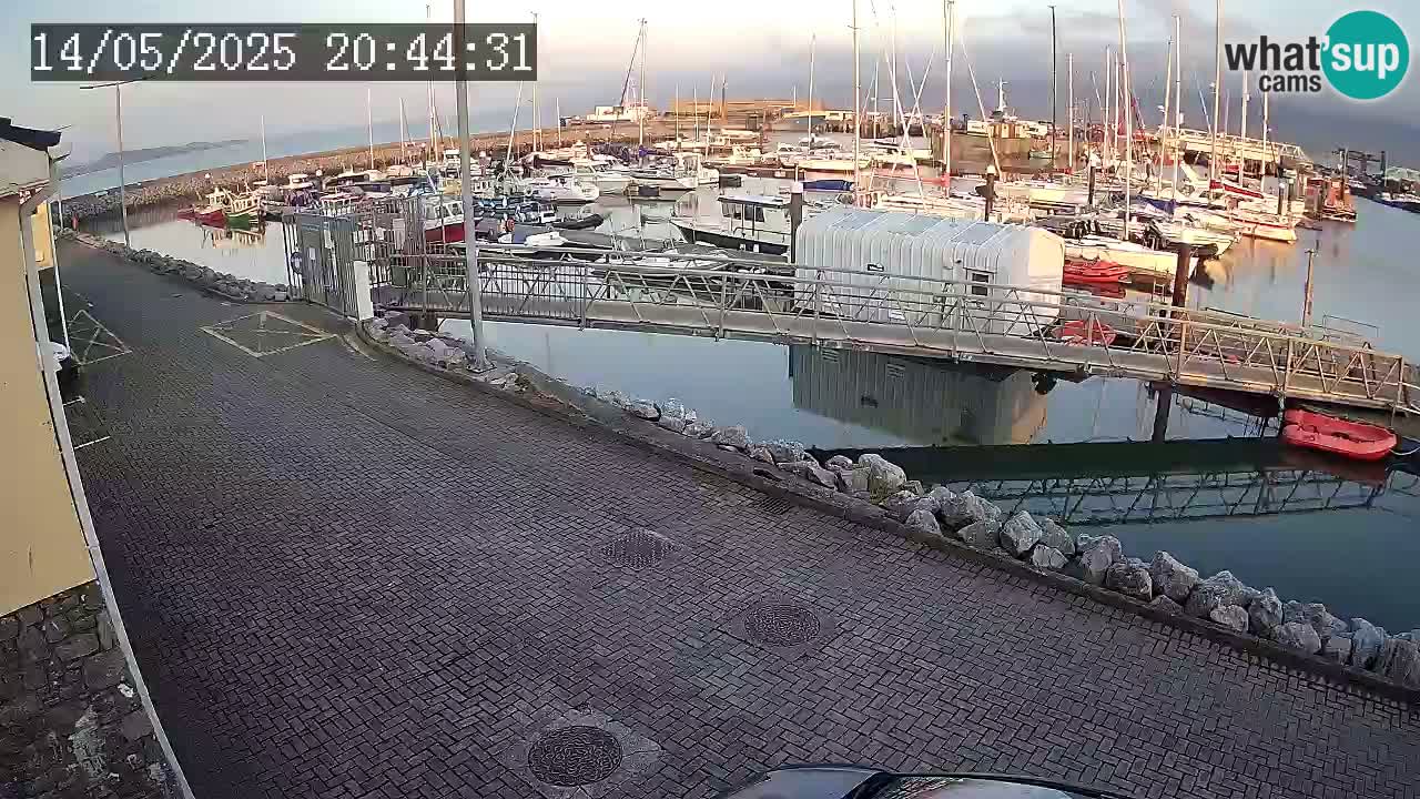 Fenit Marina web kamera