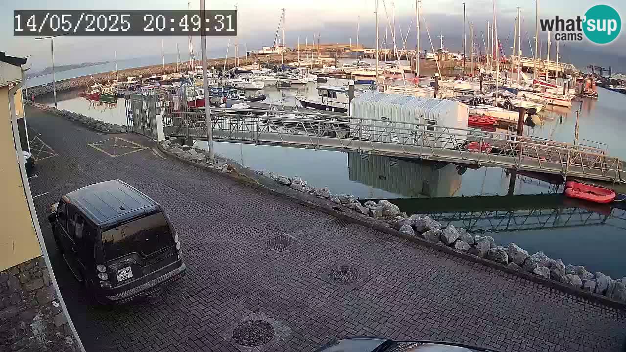 Fenit Marina livecam