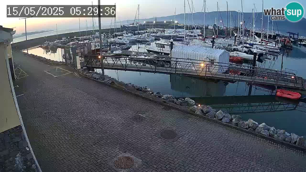 Fenit Marina livecam