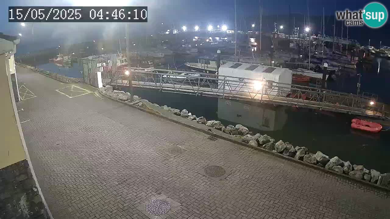 Fenit Marina livecam