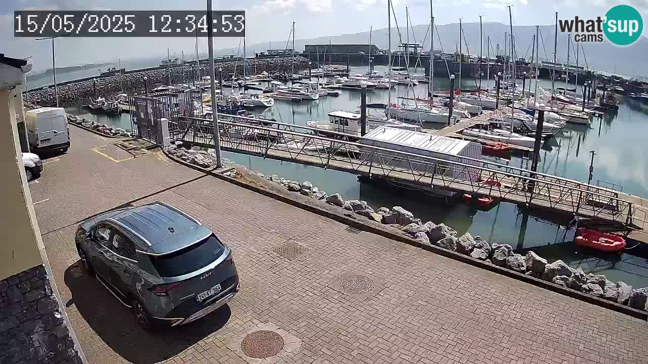 Fenit Marina livecam