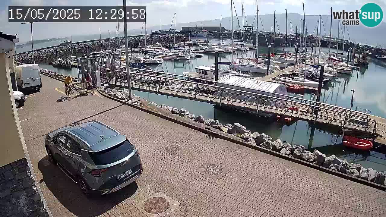 Fenit Marina livecam