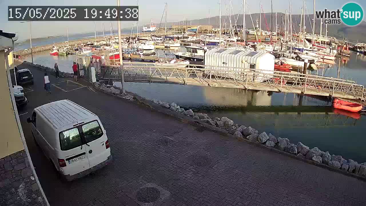 Fenit Marina livecam