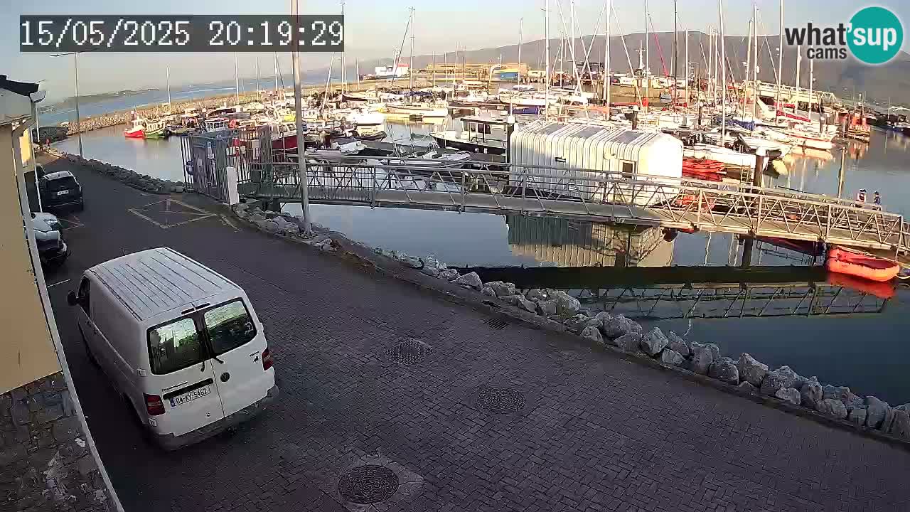 Fenit Marina livecam
