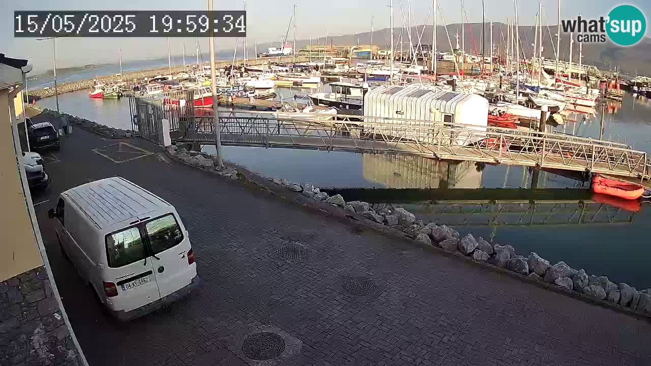 Fenit Marina camera en vivo
