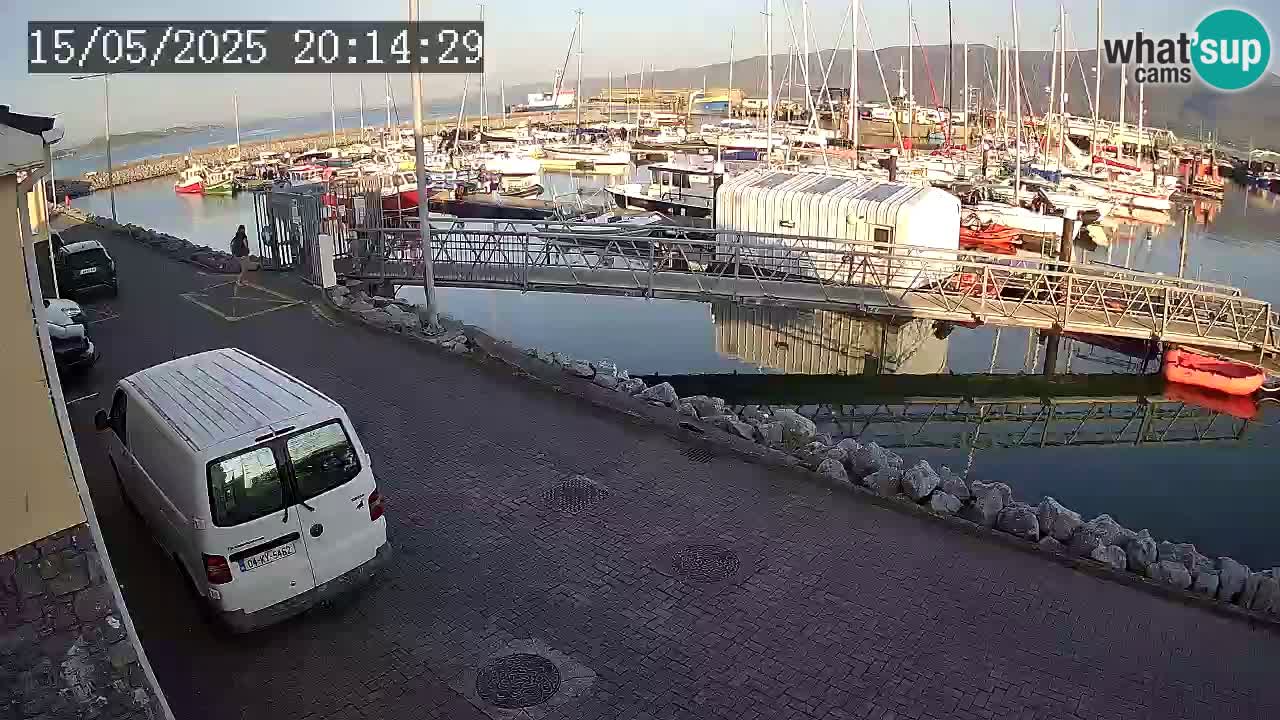 Fenit Marina spletna kamera