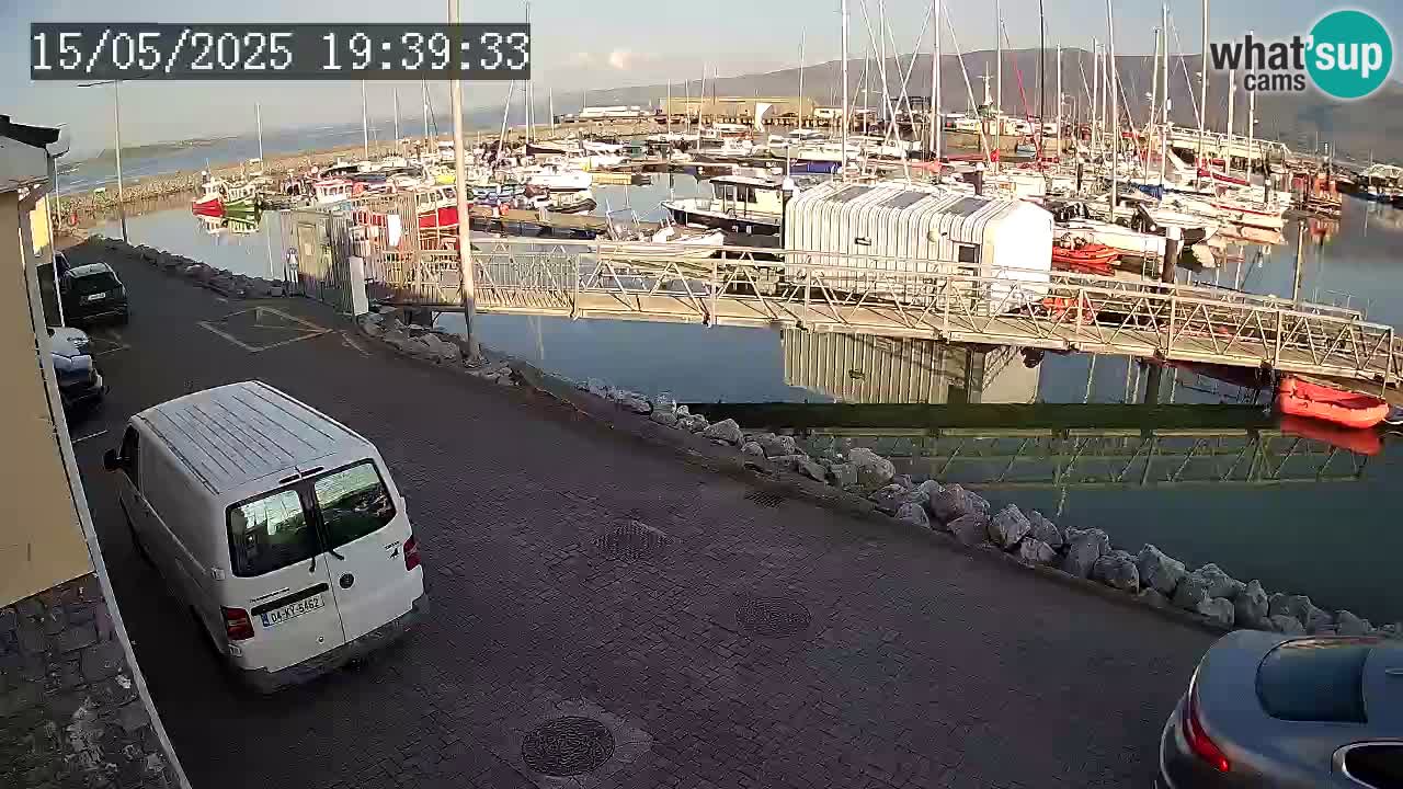 Fenit Marina webcam