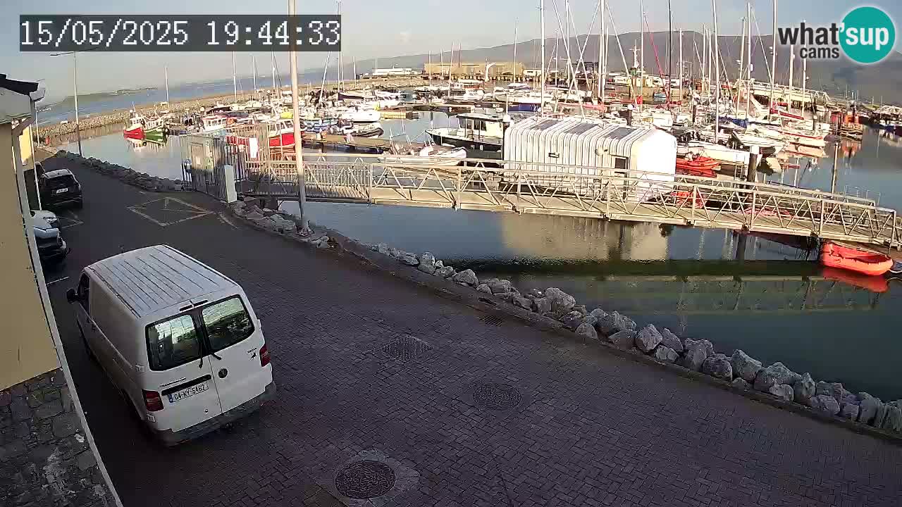 Fenit Marina spletna kamera