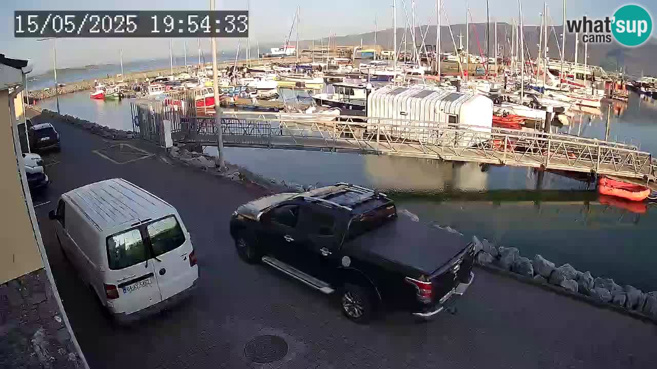 Fenit Marina webcam