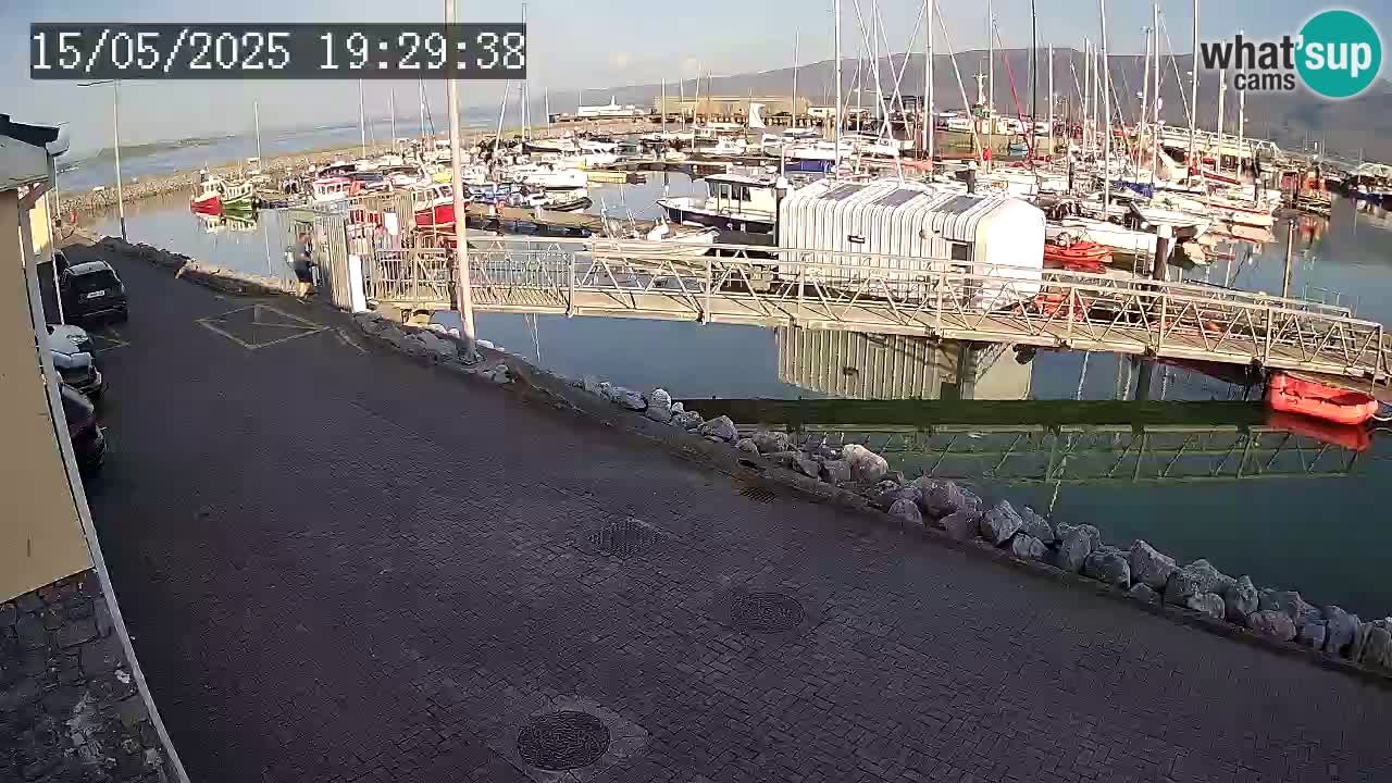 Fenit Marina camera en vivo