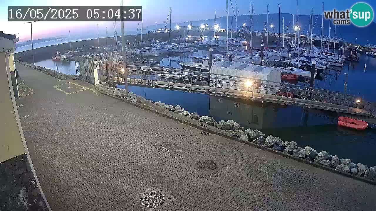 Fenit Marina livecam