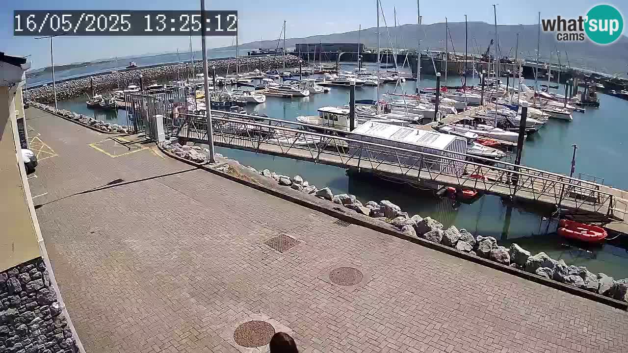 Fenit Marina spletna kamera