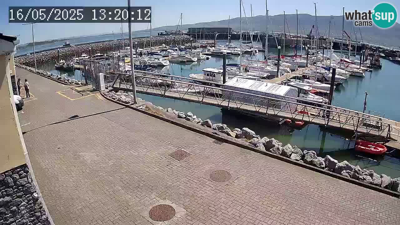Fenit Marina livecam