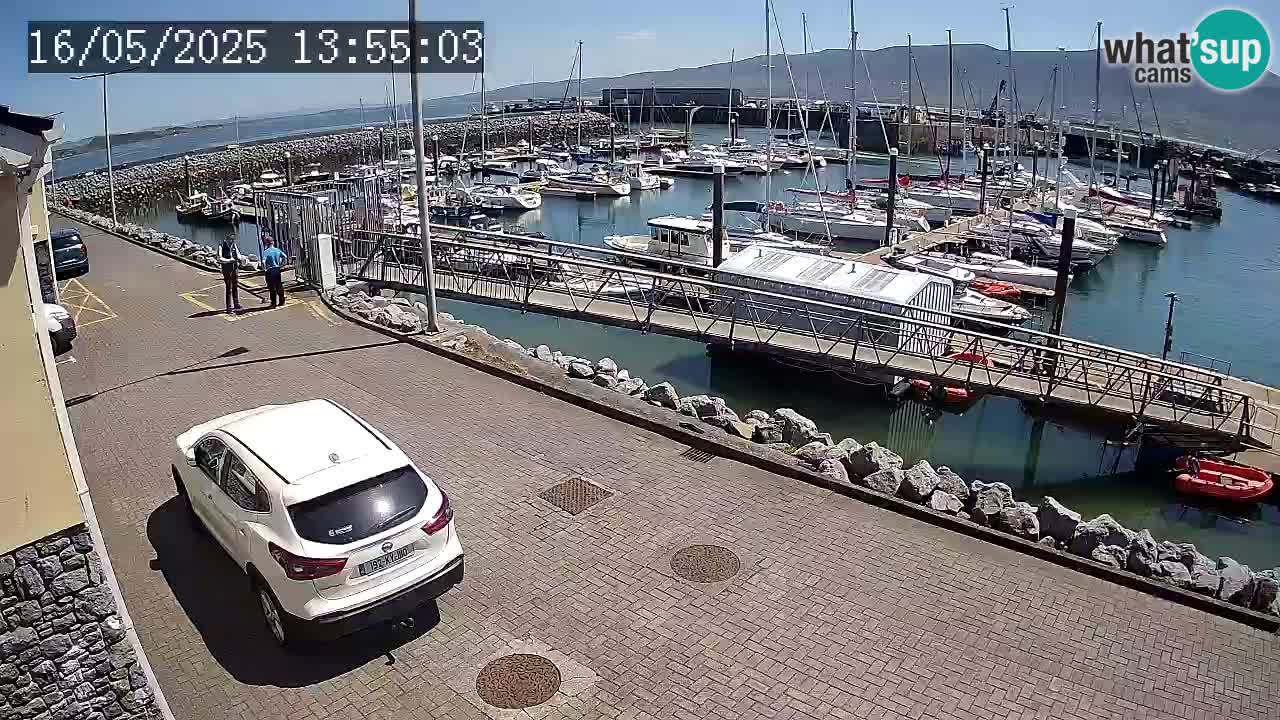 Fenit Marina spletna kamera