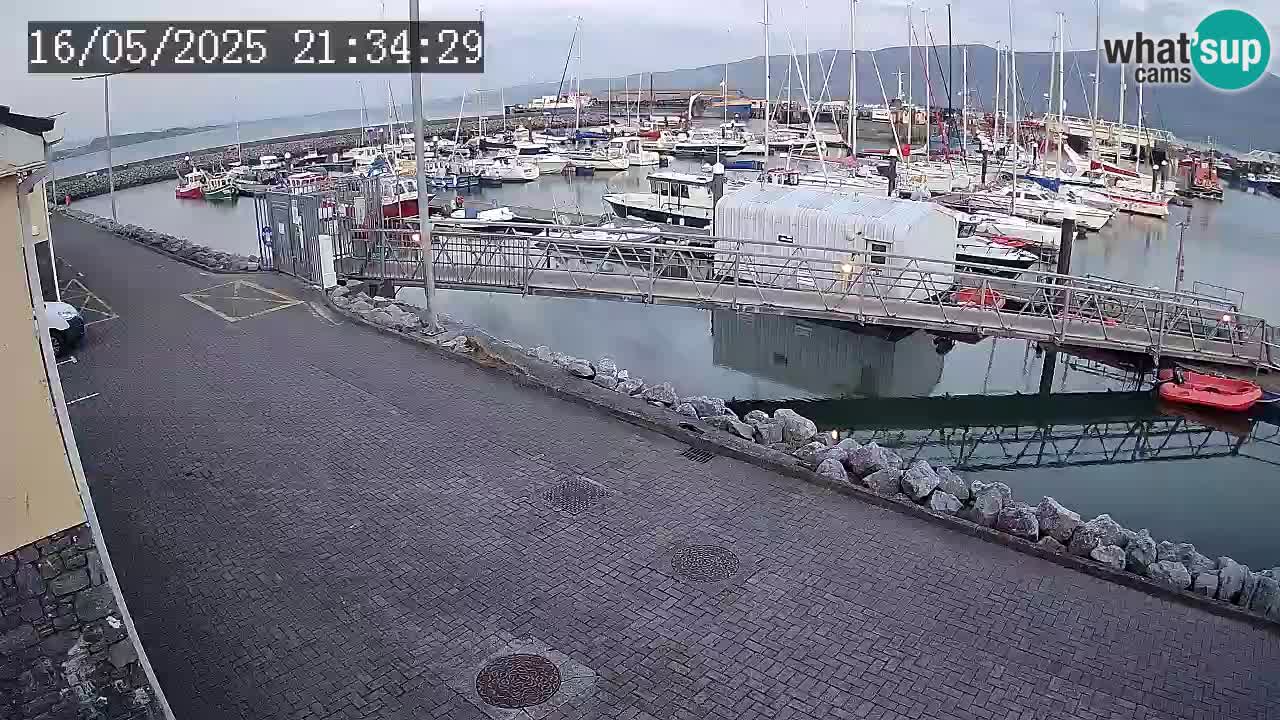 Fenit Marina spletna kamera