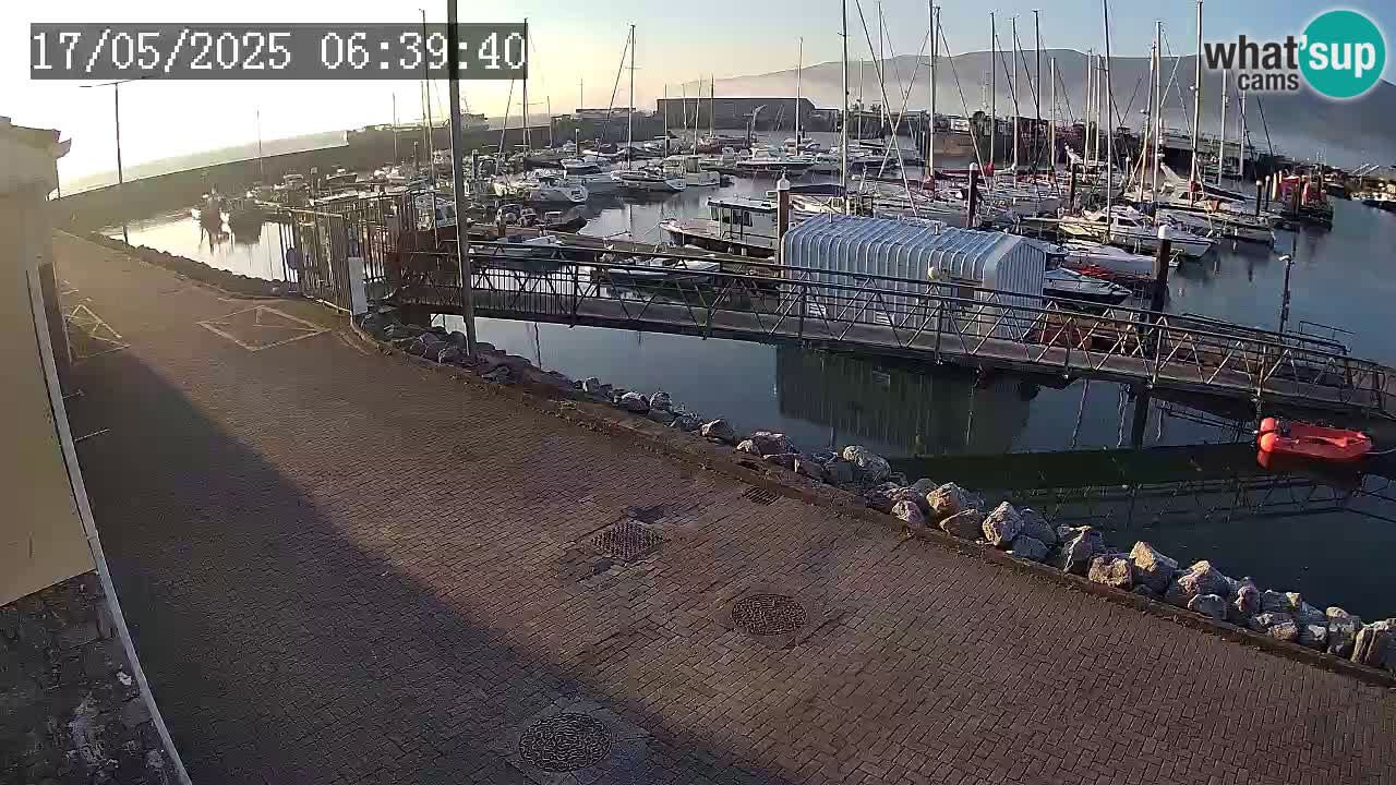 Fenit Marina spletna kamera