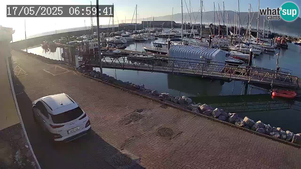 Fenit Marina spletna kamera
