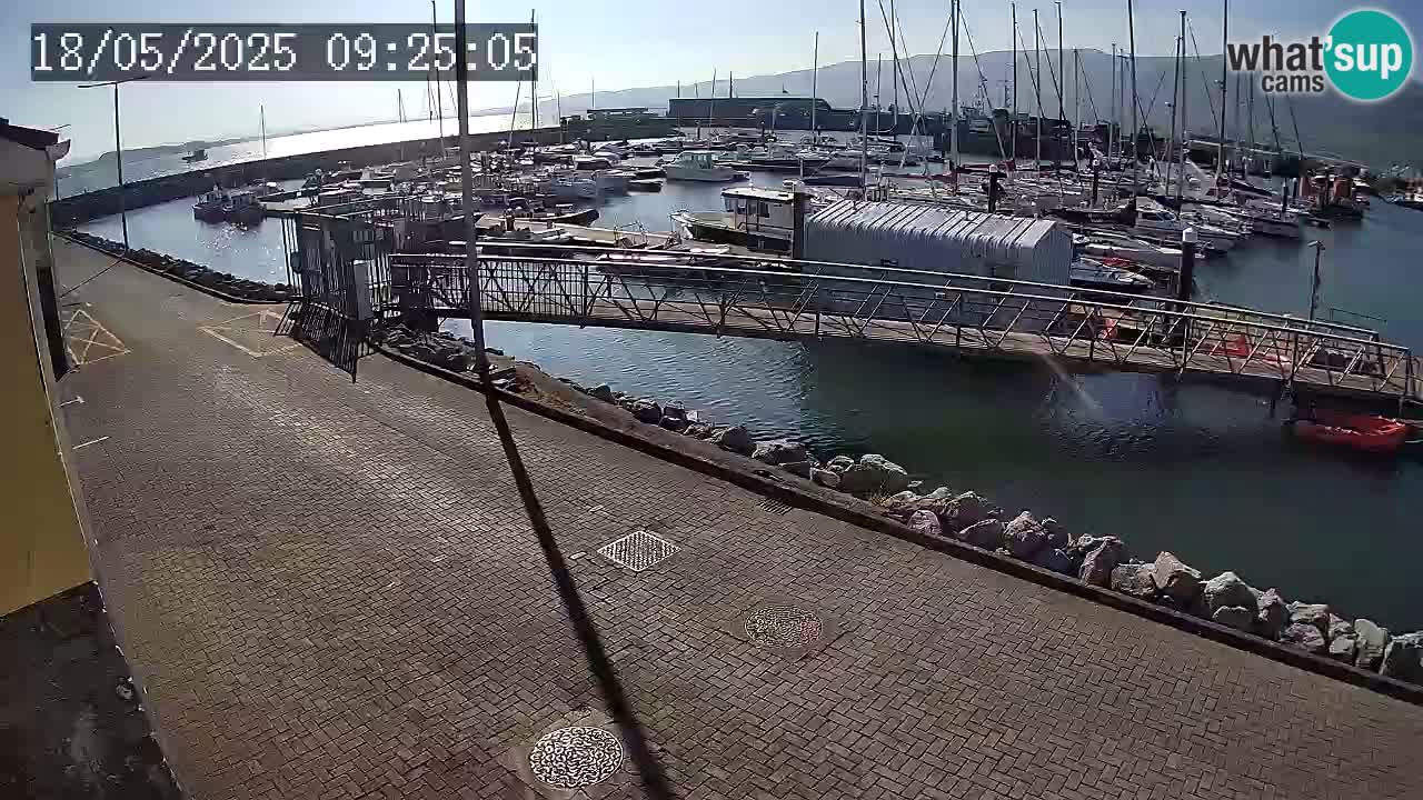 Fenit Marina webcam