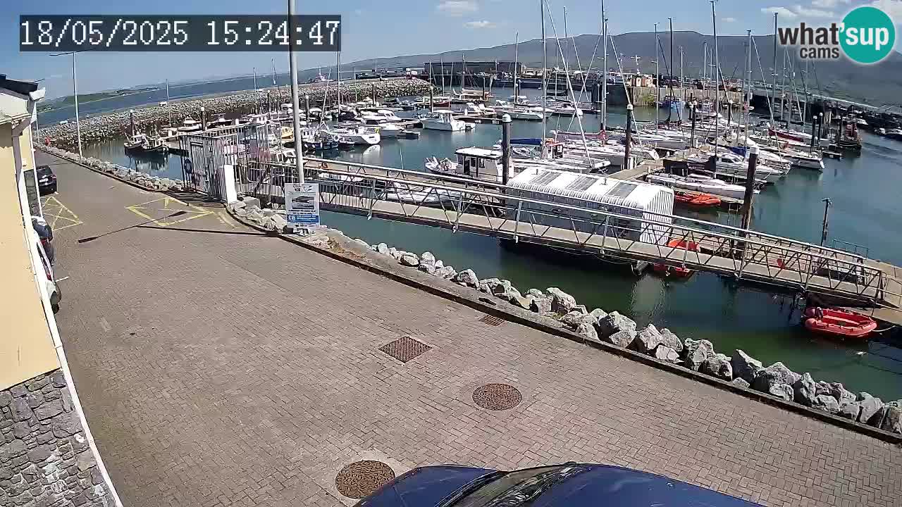 Fenit Marina spletna kamera