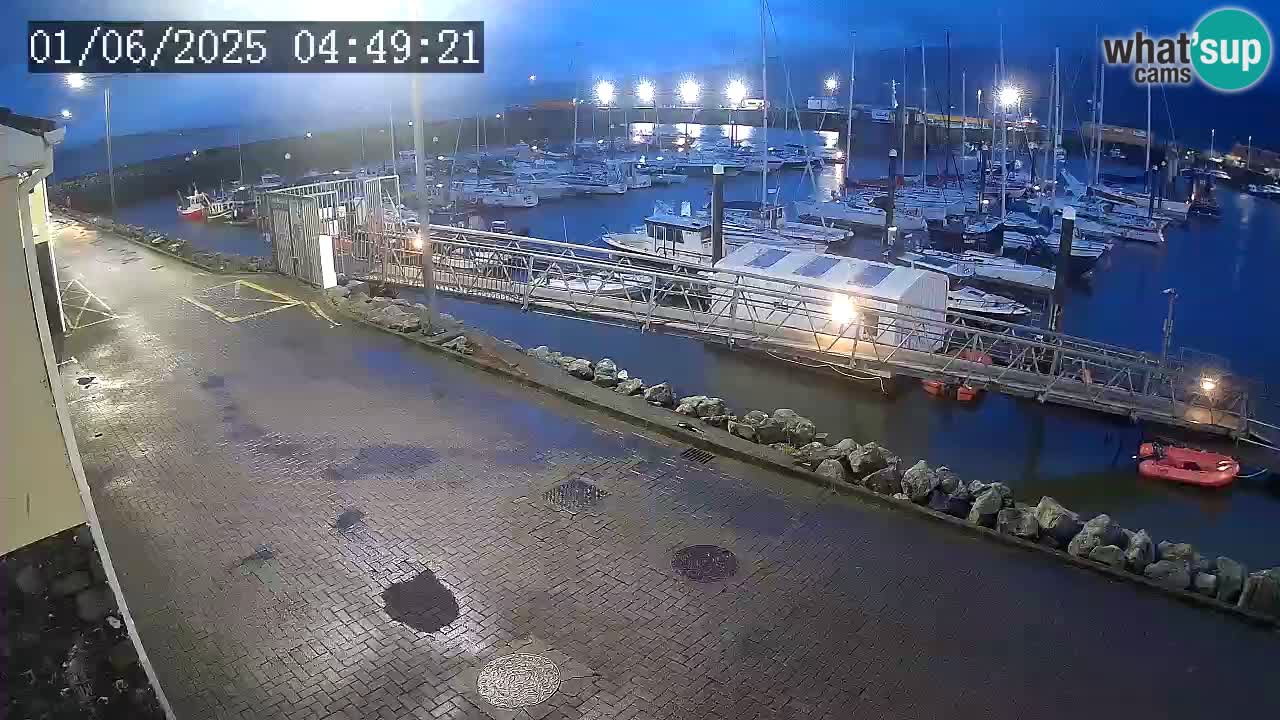Fenit Marina livecam