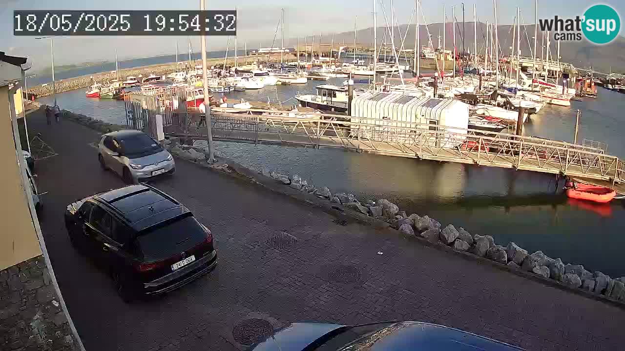 Fenit Marina webcam