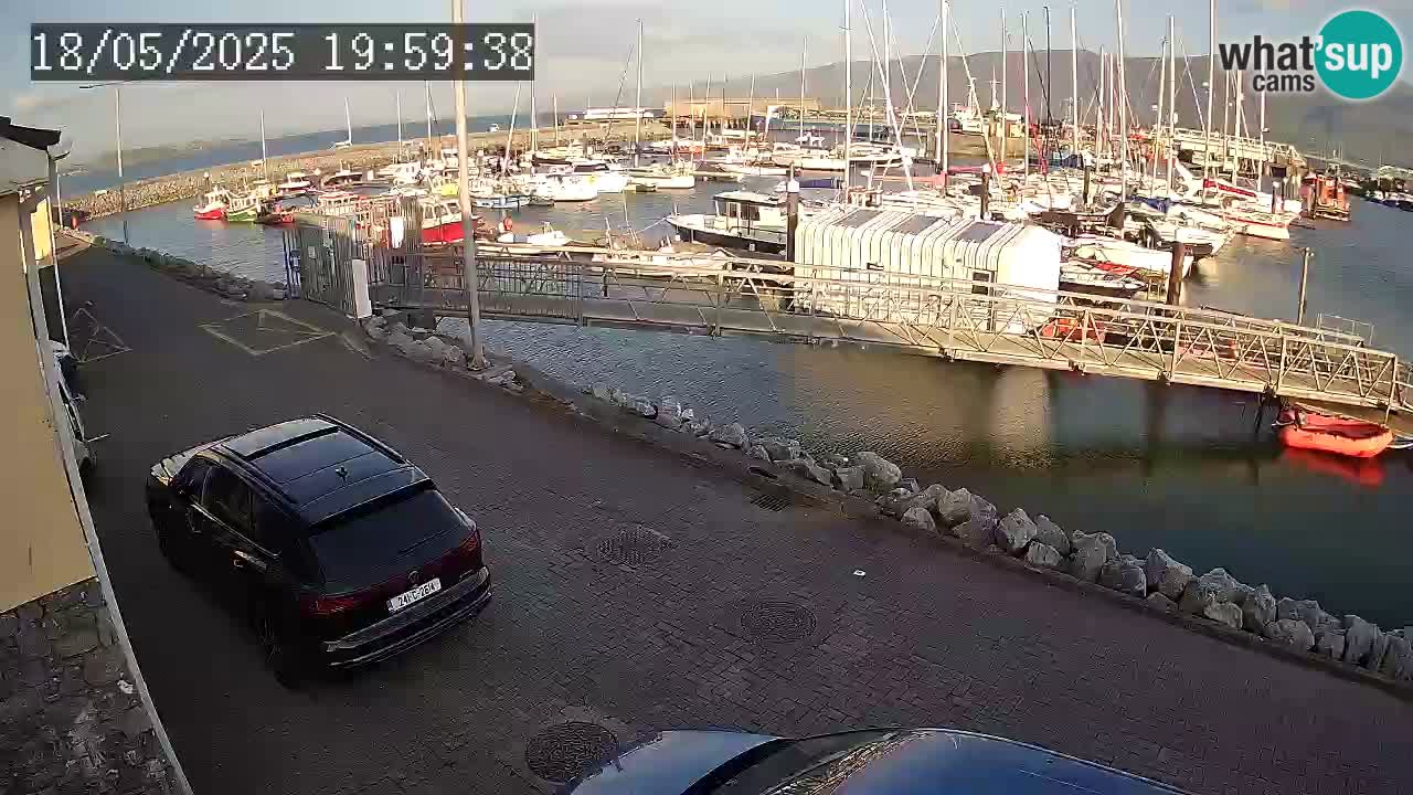 Fenit Marina live webcam