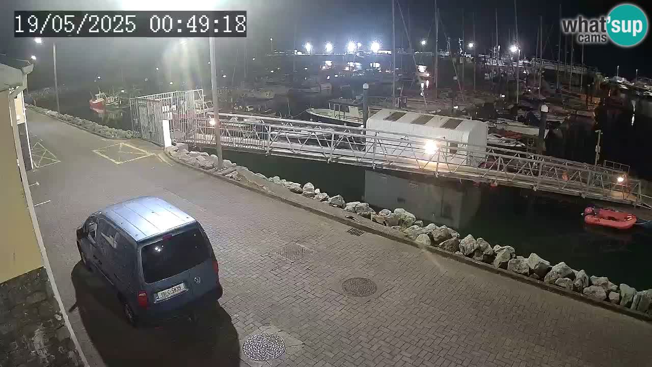 Fenit Marina livecam