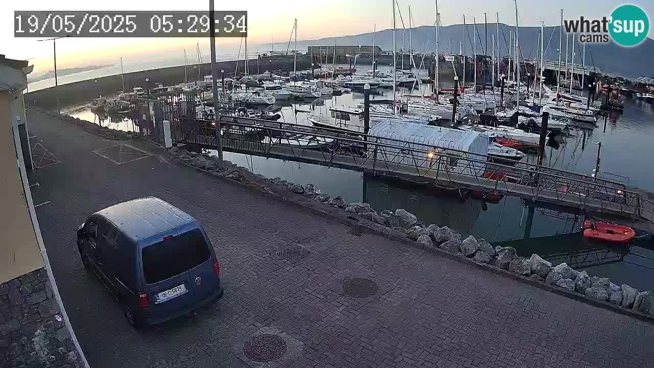 Fenit Marina livecam
