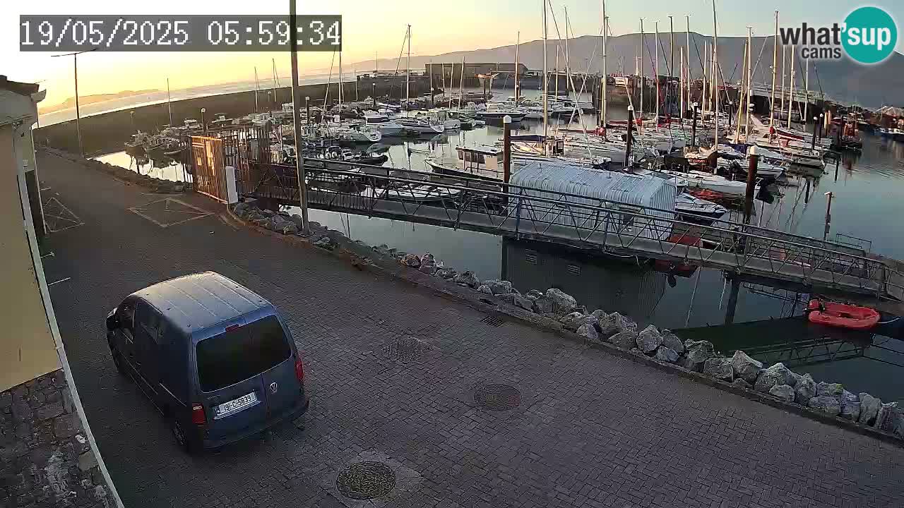 Fenit Marina webcam