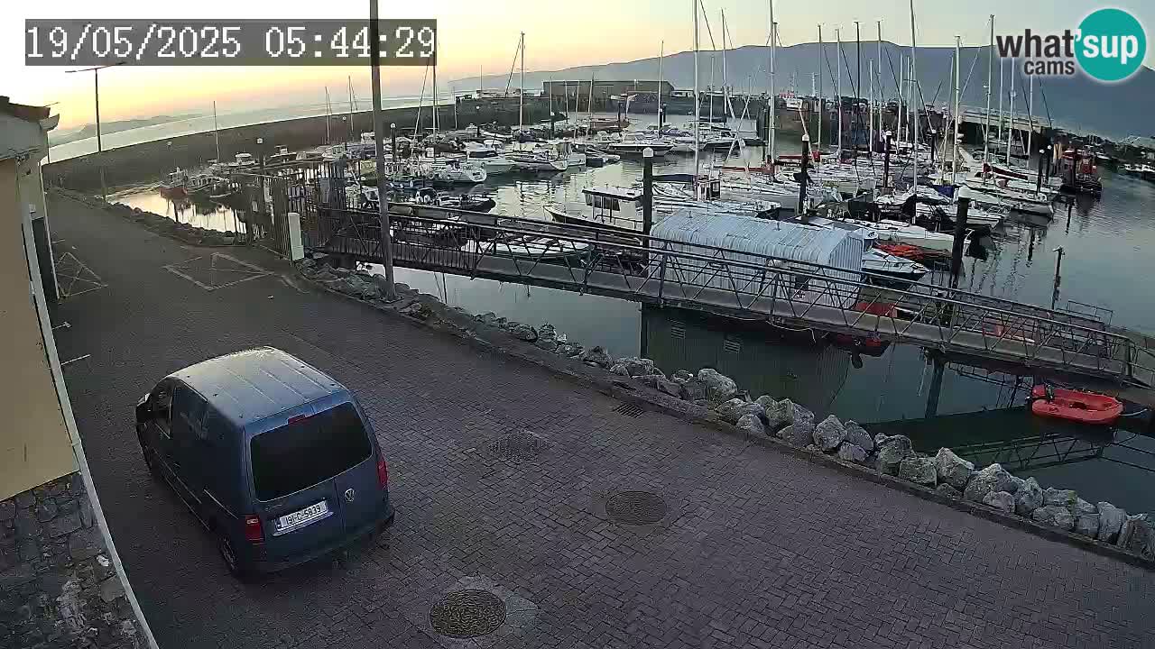 Fenit Marina live webcam