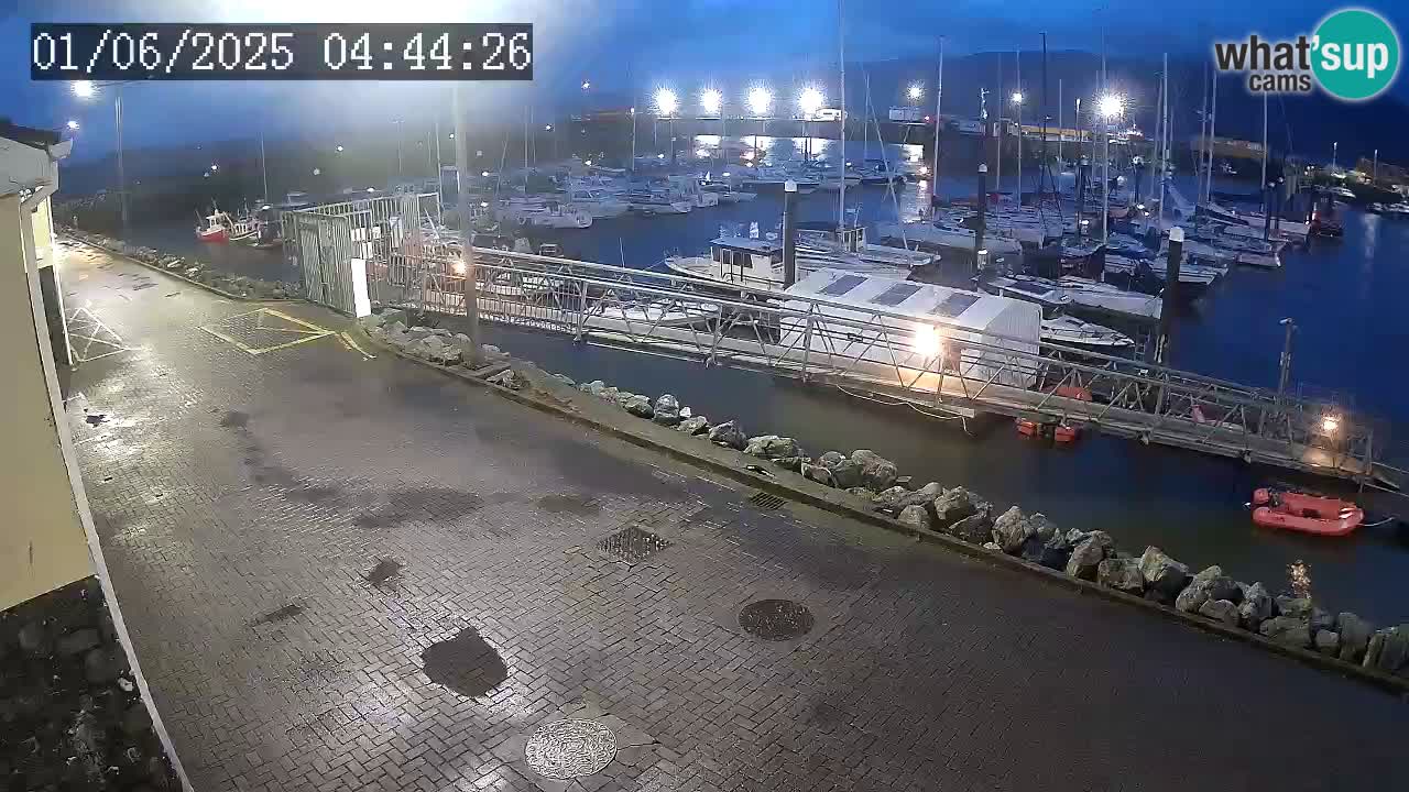 Fenit Marina spletna kamera
