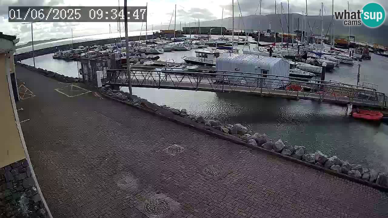 Fenit Marina livecam