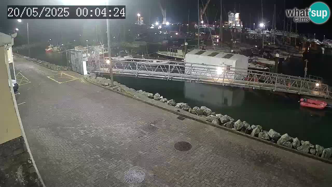 Fenit Marina spletna kamera