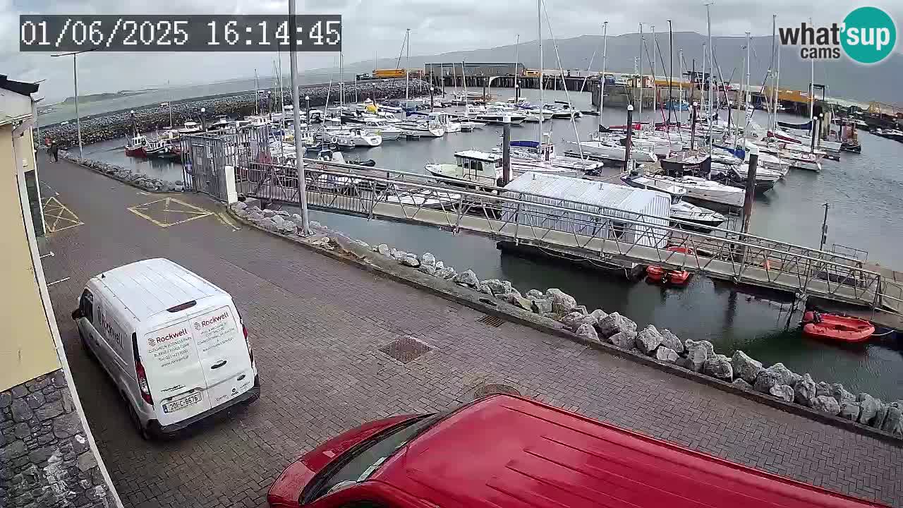 Fenit Marina livecam
