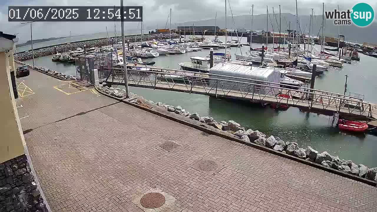 Fenit Marina livecam