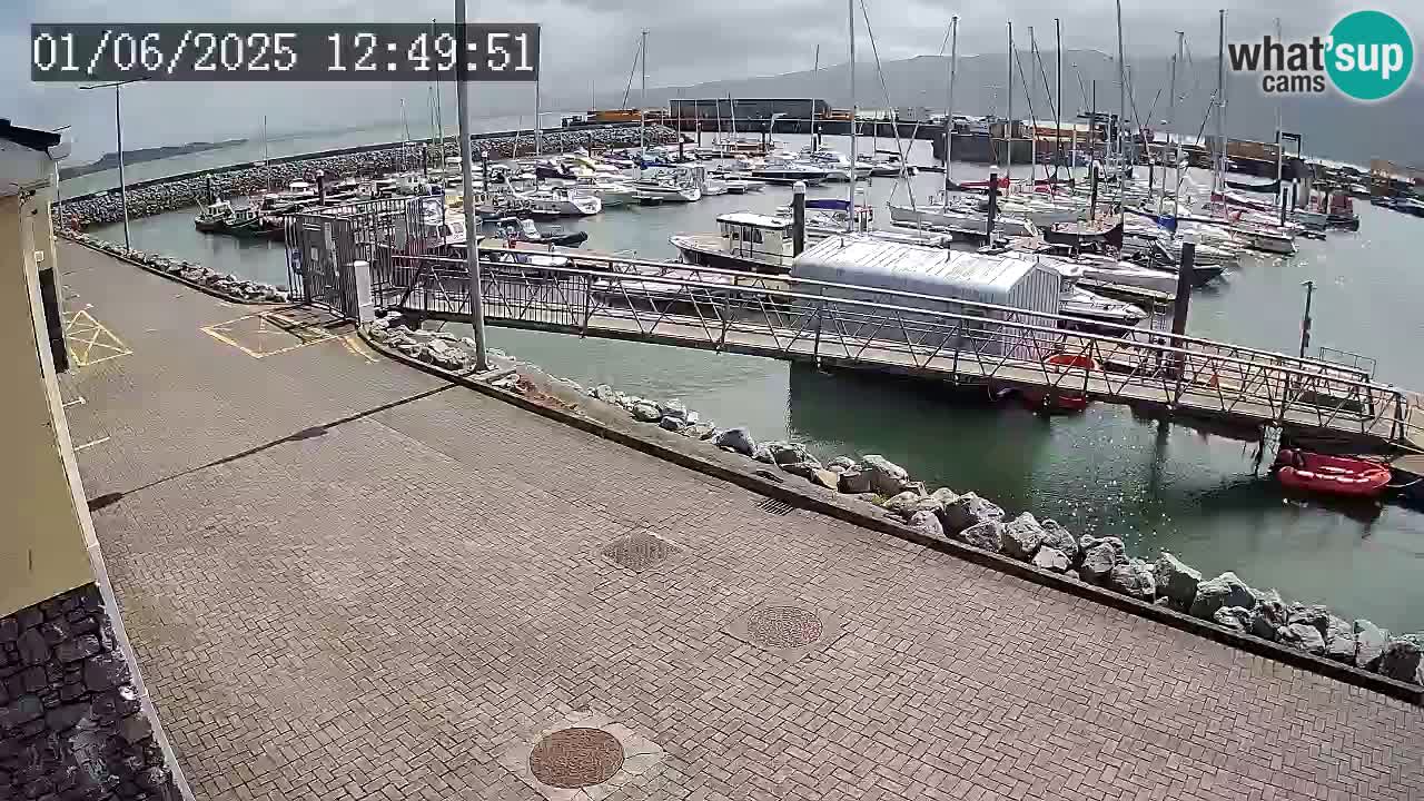 Fenit Marina livecam