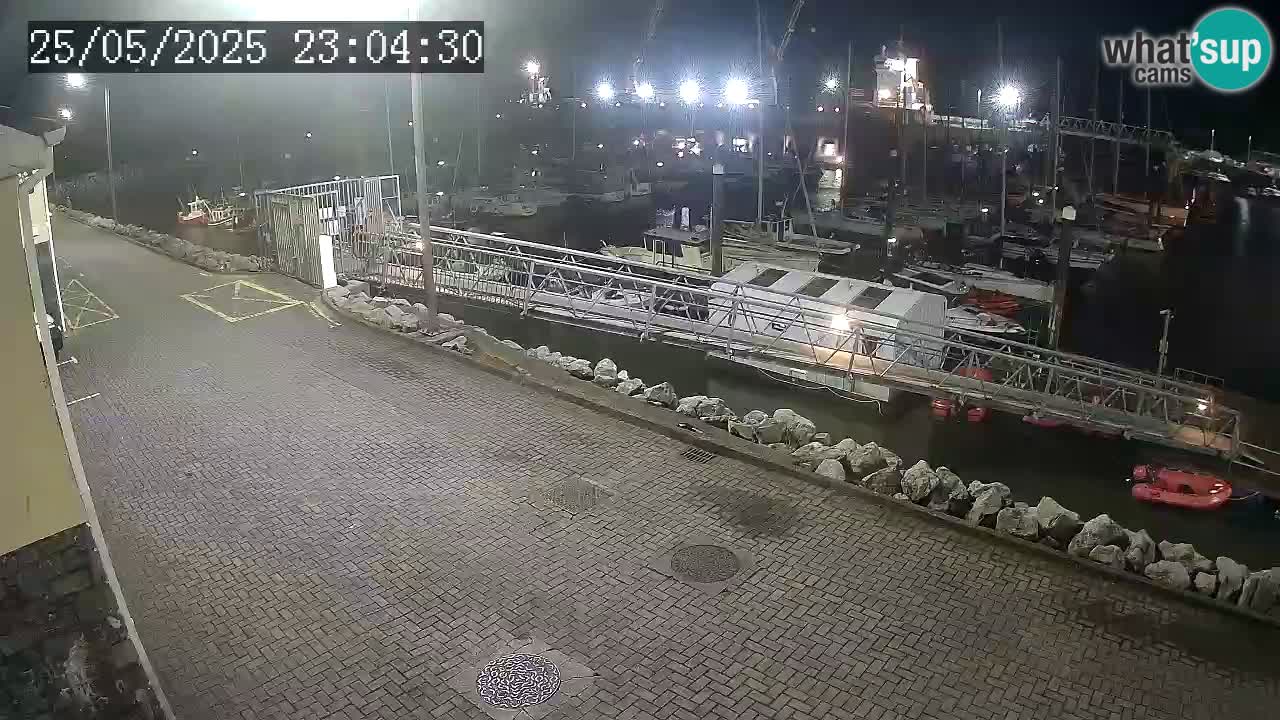 Fenit Marina camera en vivo