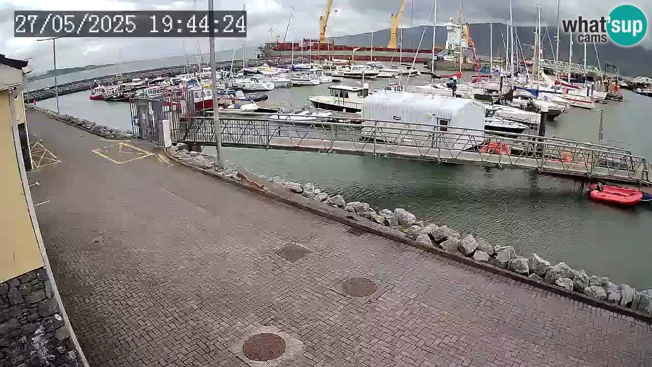 Fenit Marina webcam