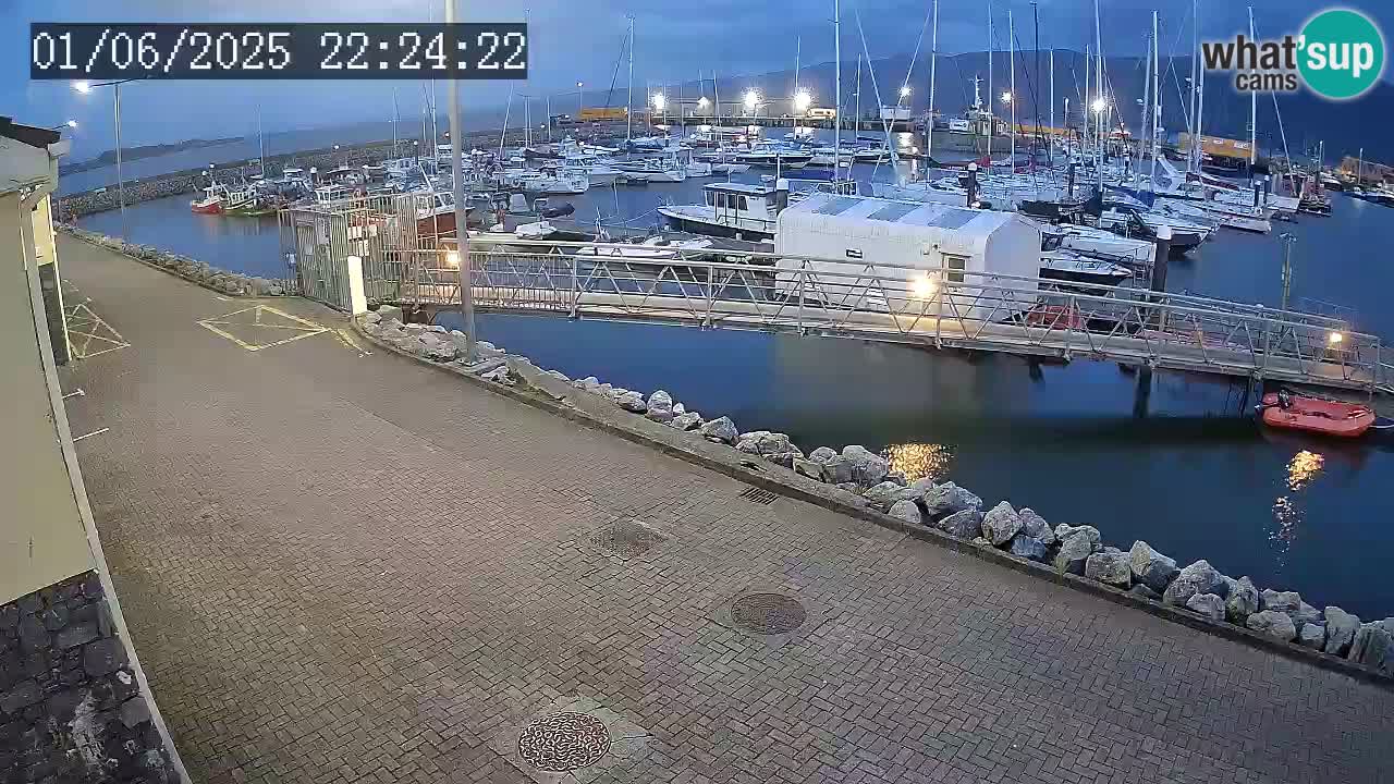 Fenit Marina livecam