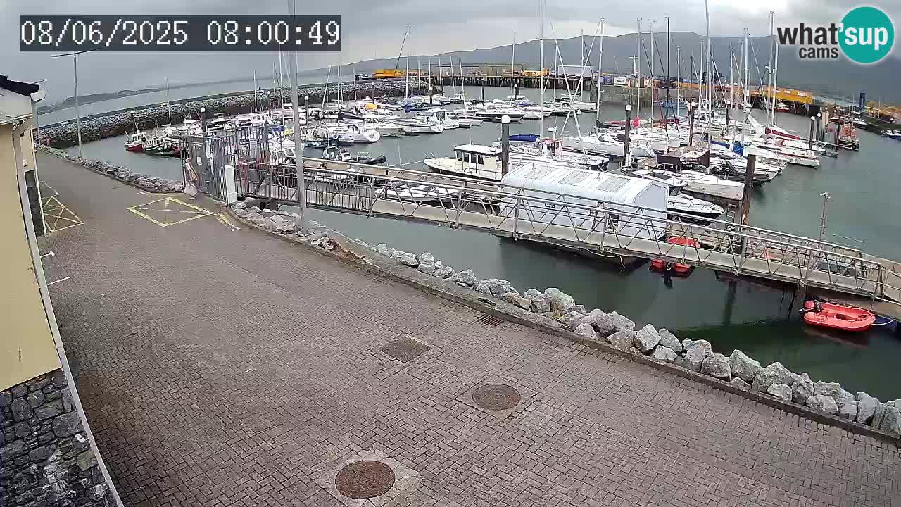 Fenit Marina webcam