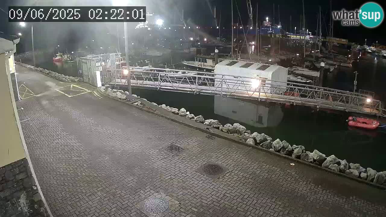 Fenit Marina spletna kamera