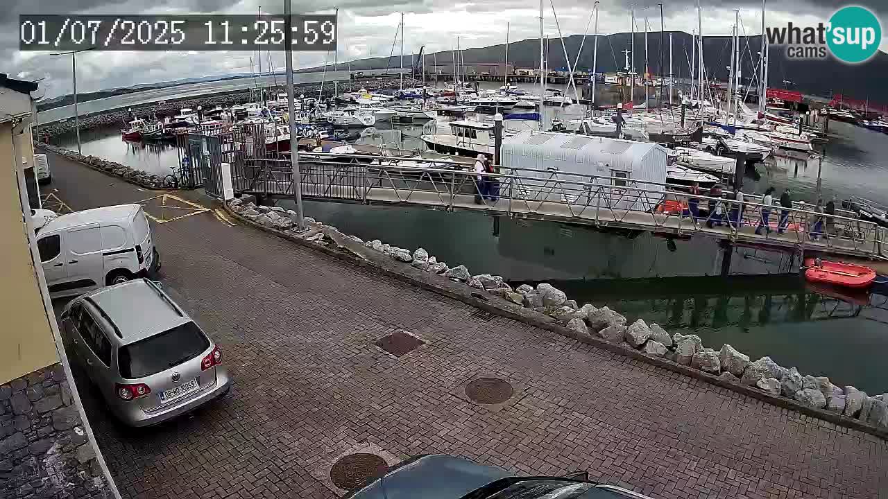 Fenit Marina webcam