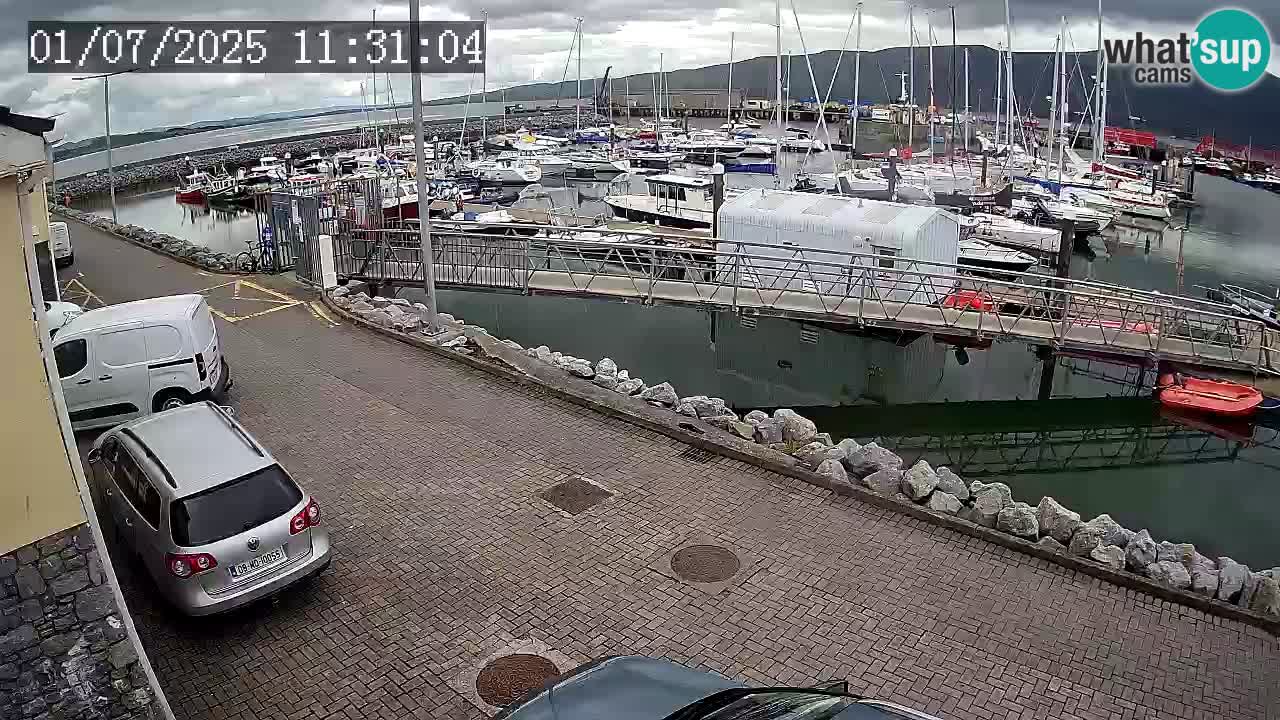 Fenit Marina livecam