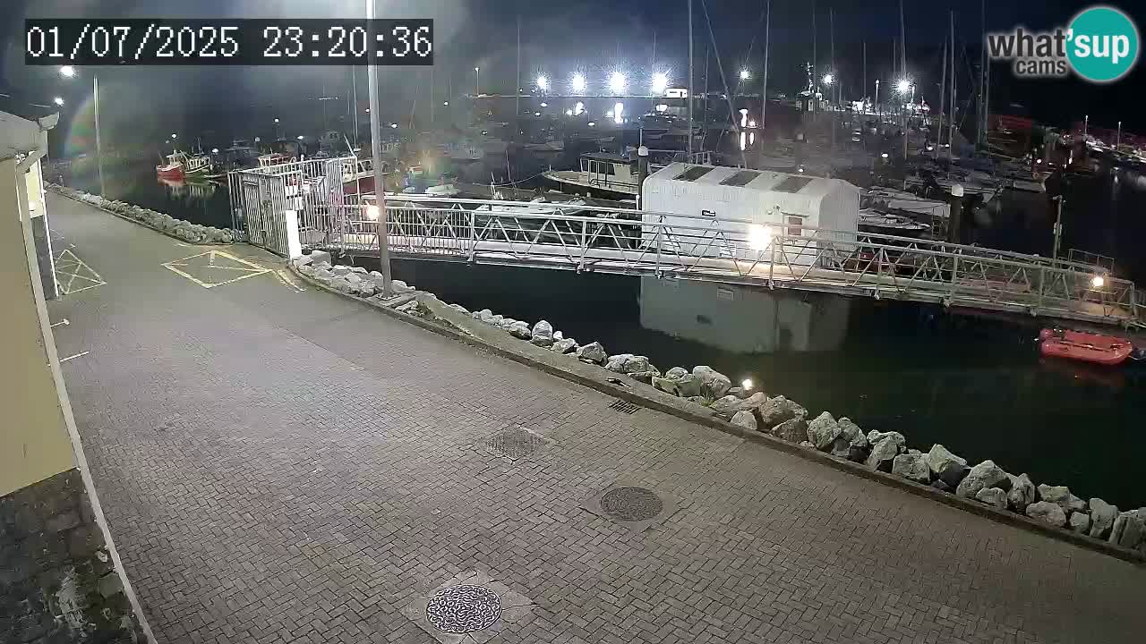 Fenit Marina livecam